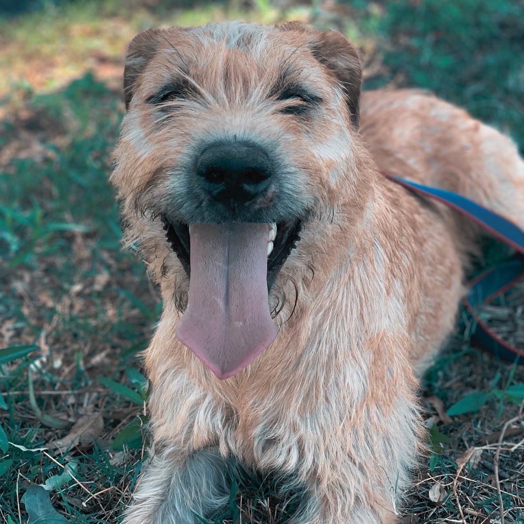 274853593_507403034073825_4346121695679904177_n